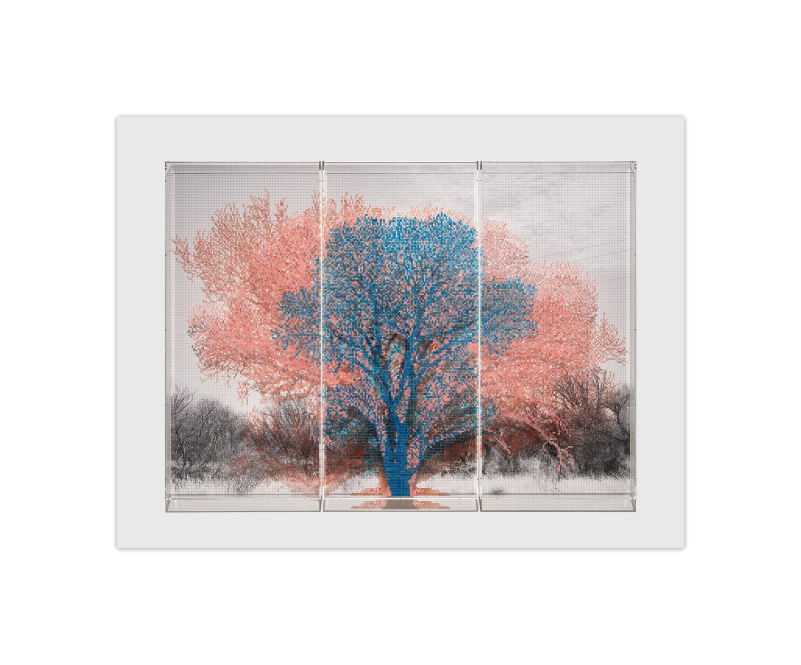 Charles Gaines:  Numbers and Trees (Arizona Series)