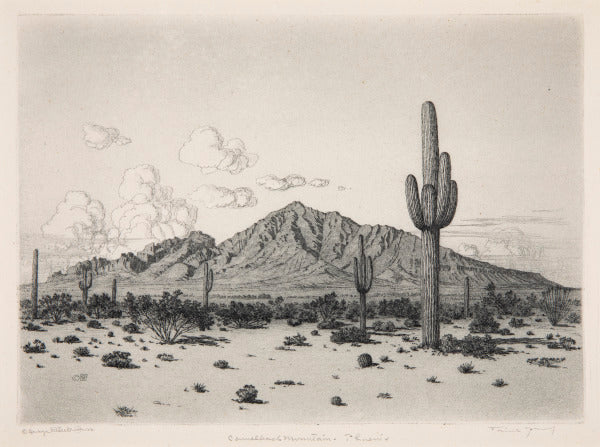 Postcard Burr Camelback Mountain Phoenix 4X6