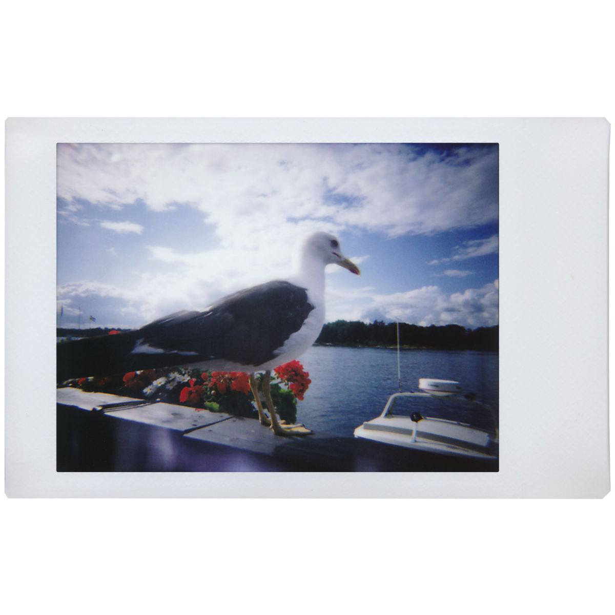 Lomo’Instant Camera Sanremo Edition