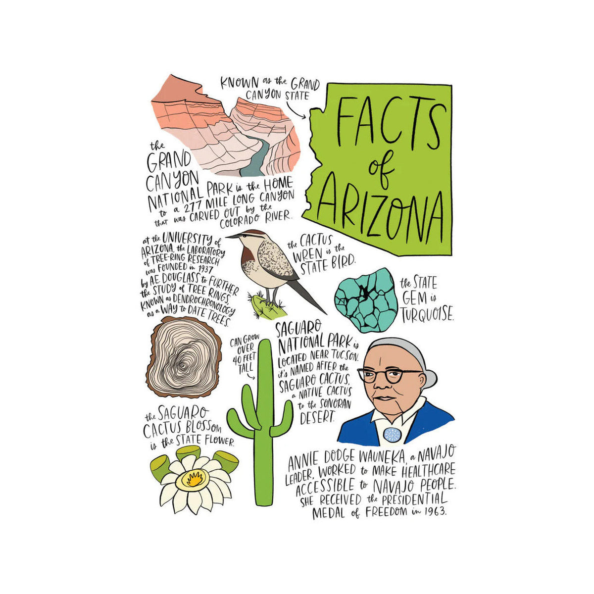 Facts of Arizona Boxed Note Cards