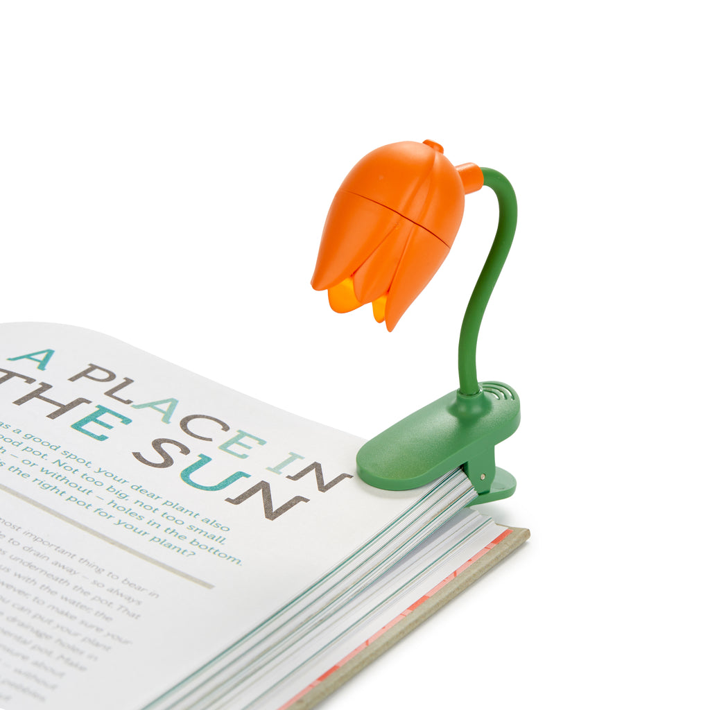 Tulip Book Lights