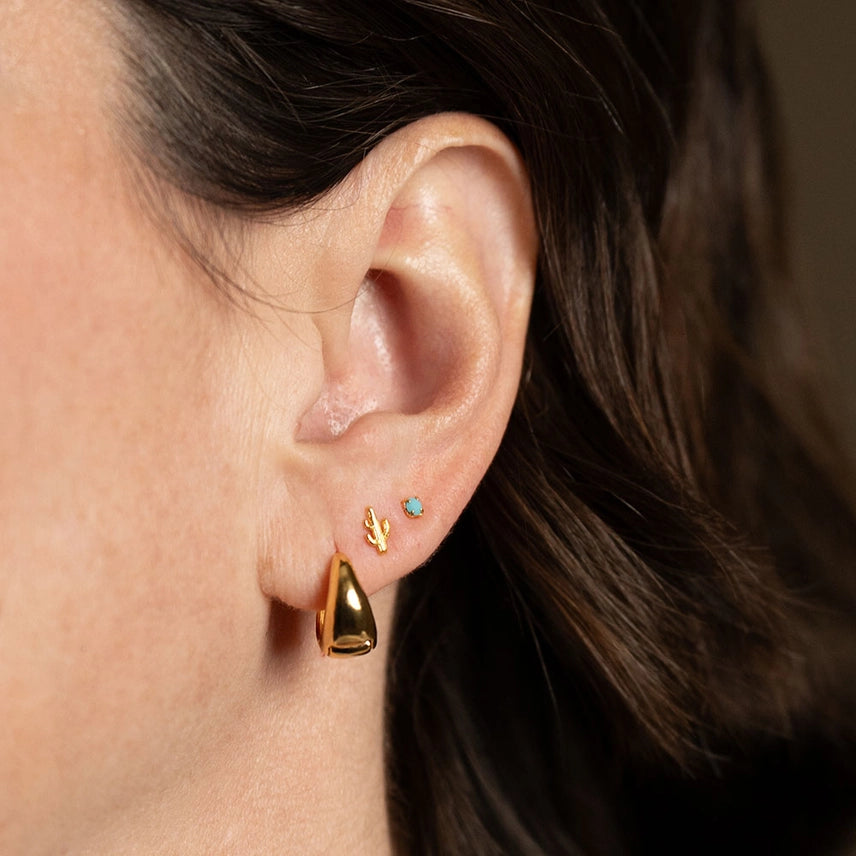 Cactus + Turquoise Stud Earring Set