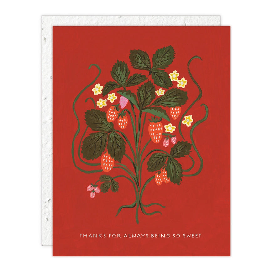 Tarjeta de felicitación con sobre plantable "Mucha Gracias"