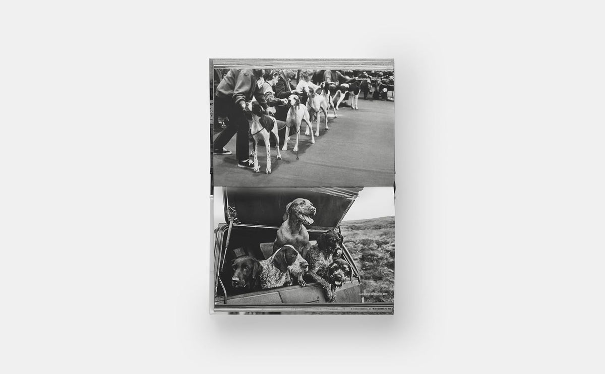 Los perros de Elliott Erwitt