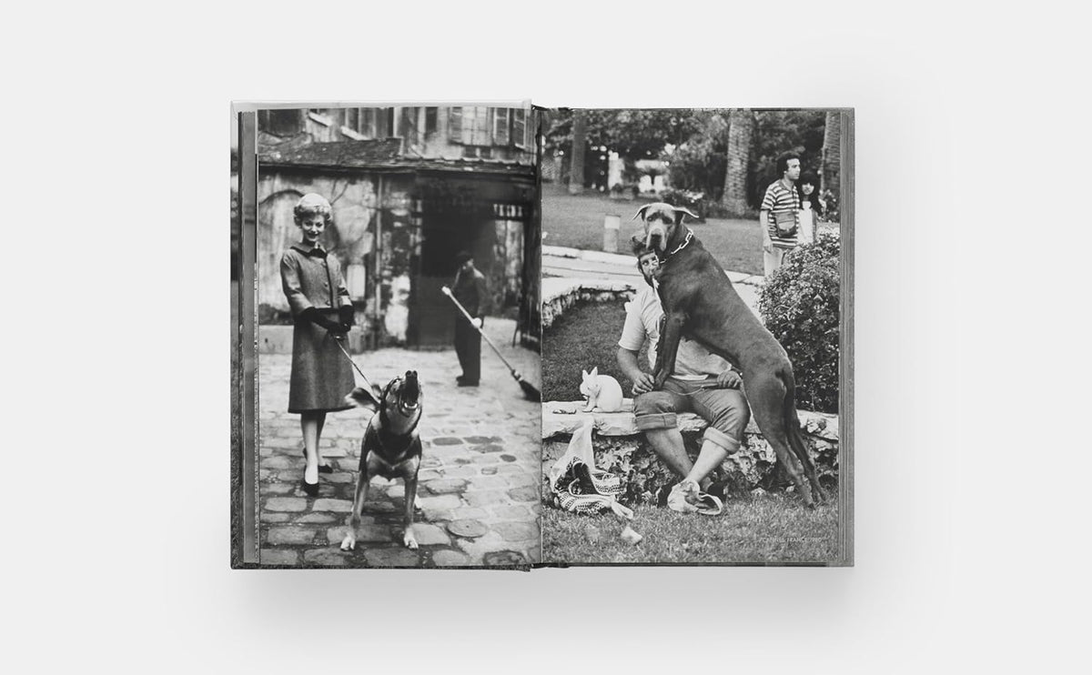 Los perros de Elliott Erwitt