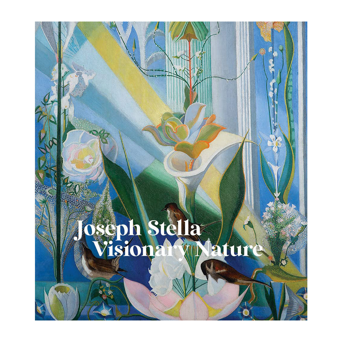 Joseph Stella: Visionary Nature