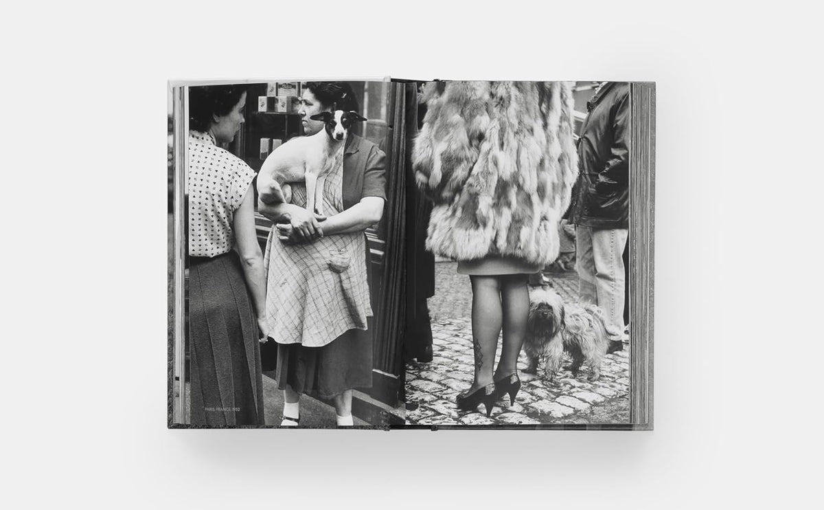 Los perros de Elliott Erwitt