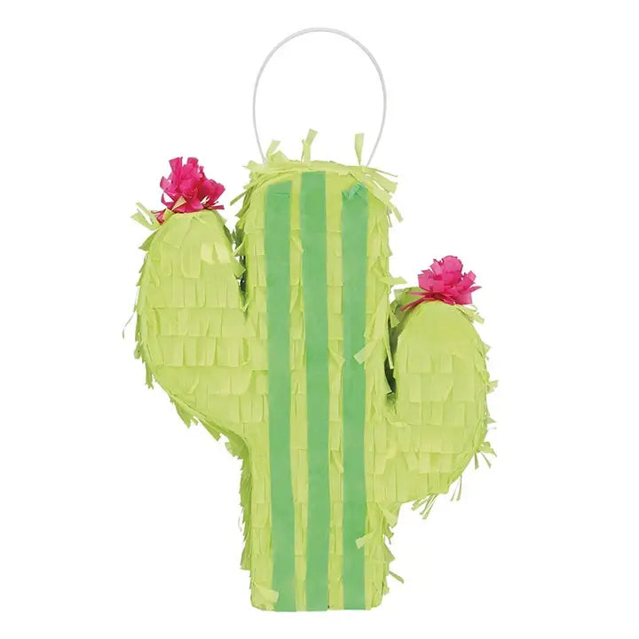 Petite Cactus Pinata