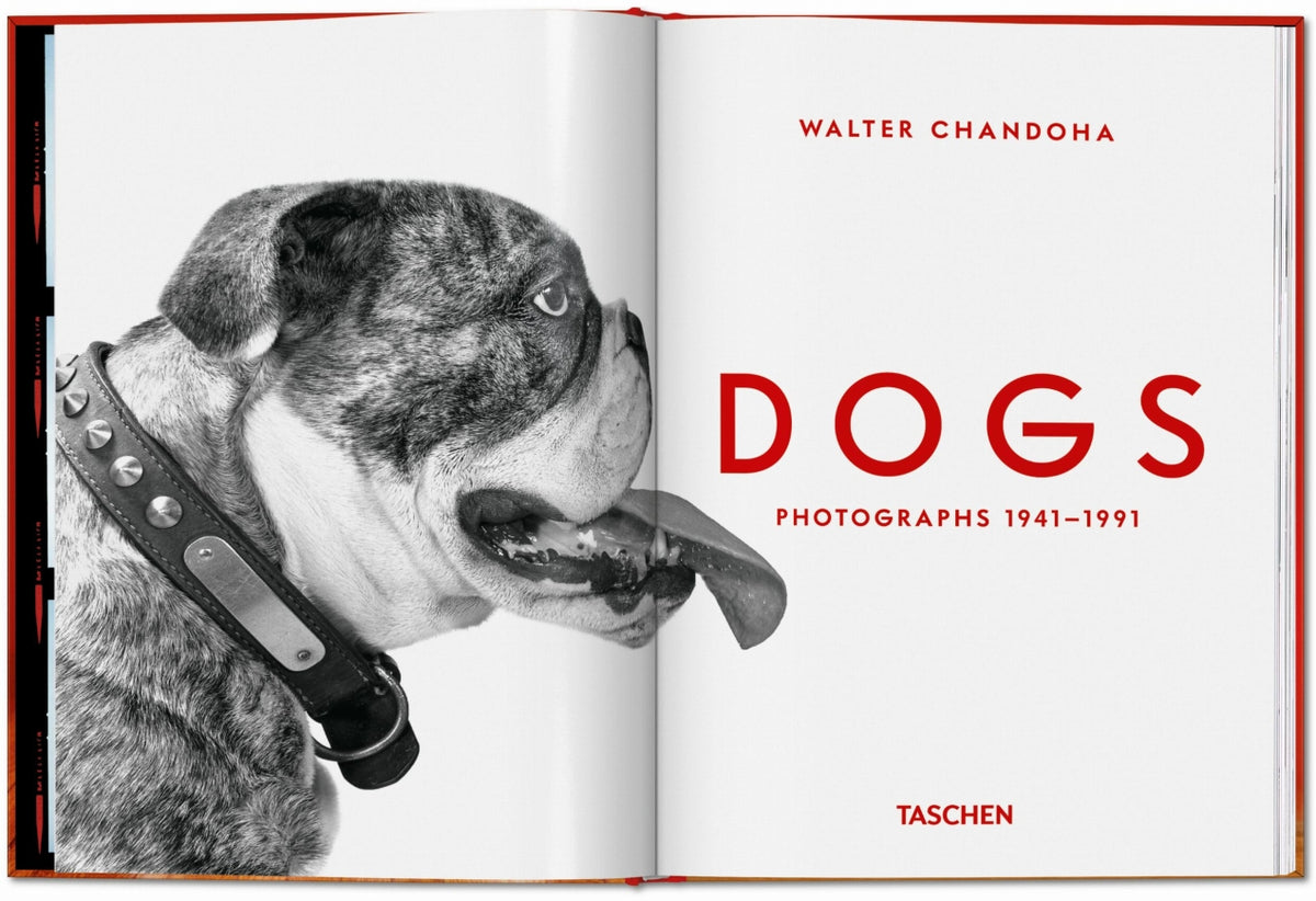Dogs: Photographs 1941-1991