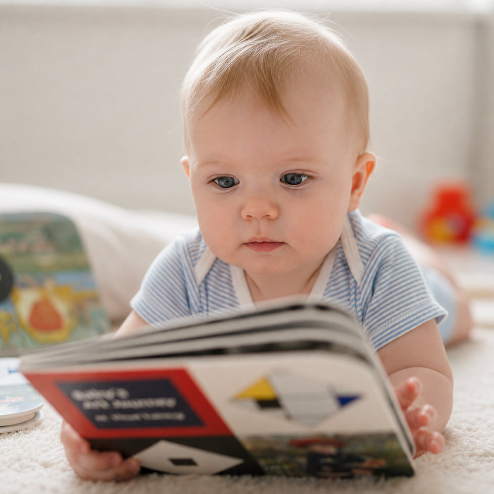 Baby's Art Journey: 4 Book Accordion Set