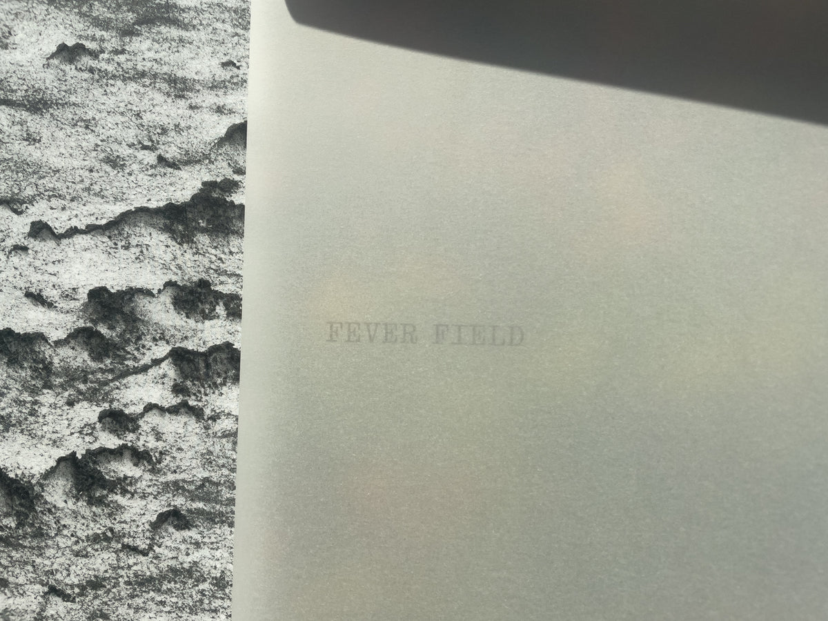 Melissa Catanese: Fever Field