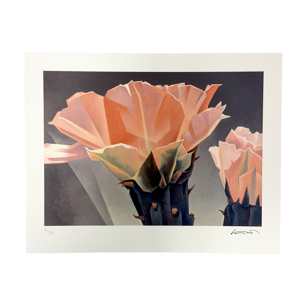 Ed Mell "Opening Cactus Bud" Limited Edition Print