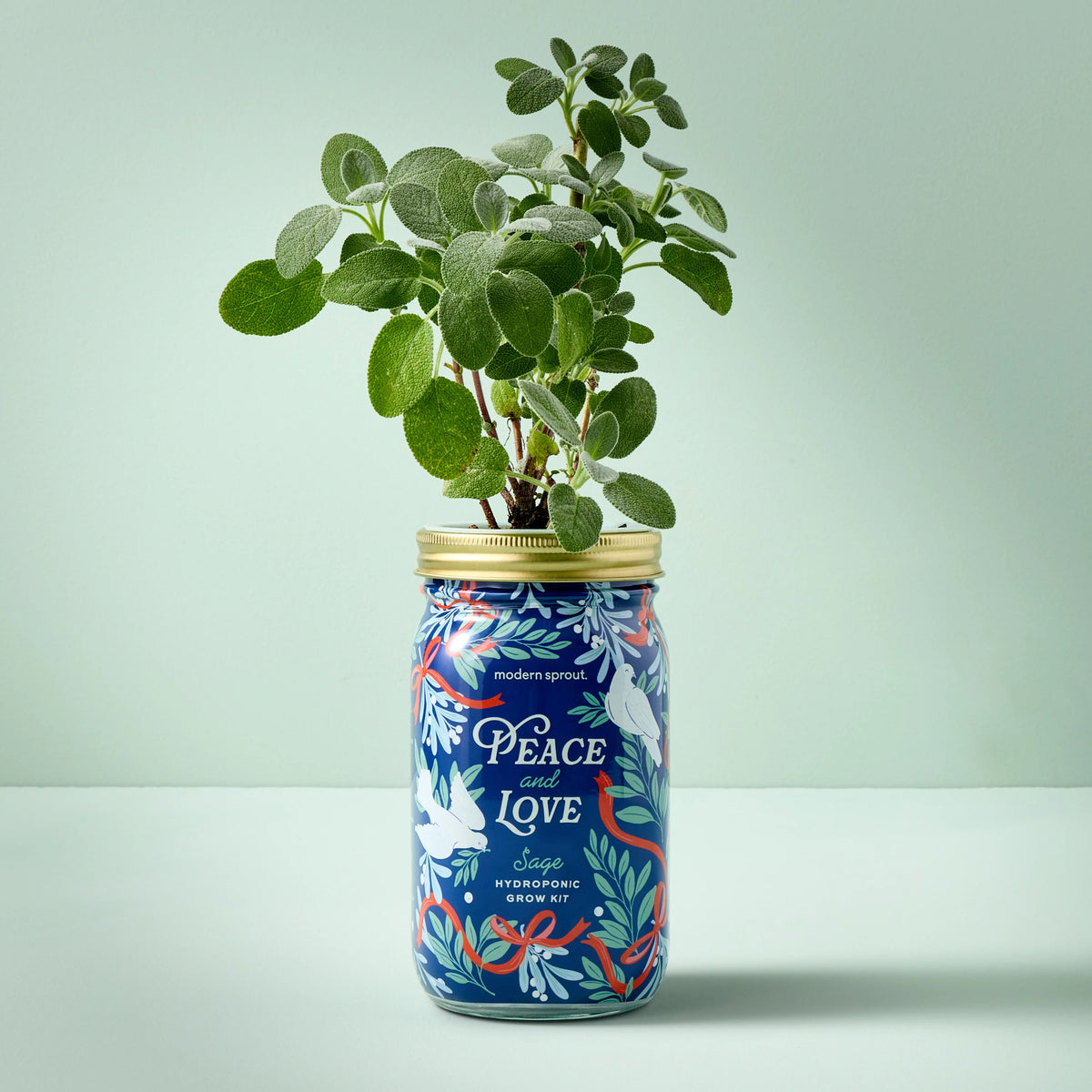 Holiday Garden Jars