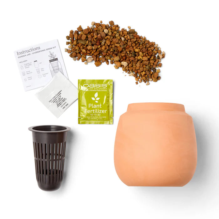 Modern Terracotta Cactus Grow Kit
