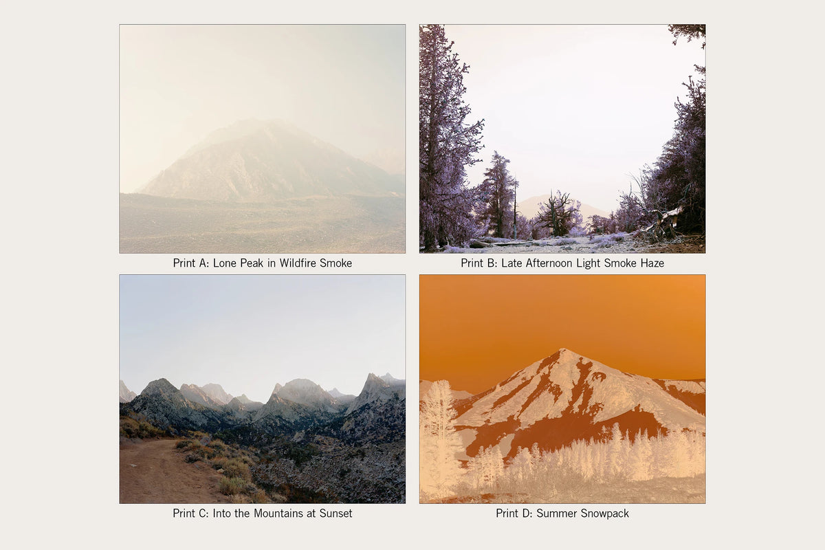 Aaron Rothman: The Sierra