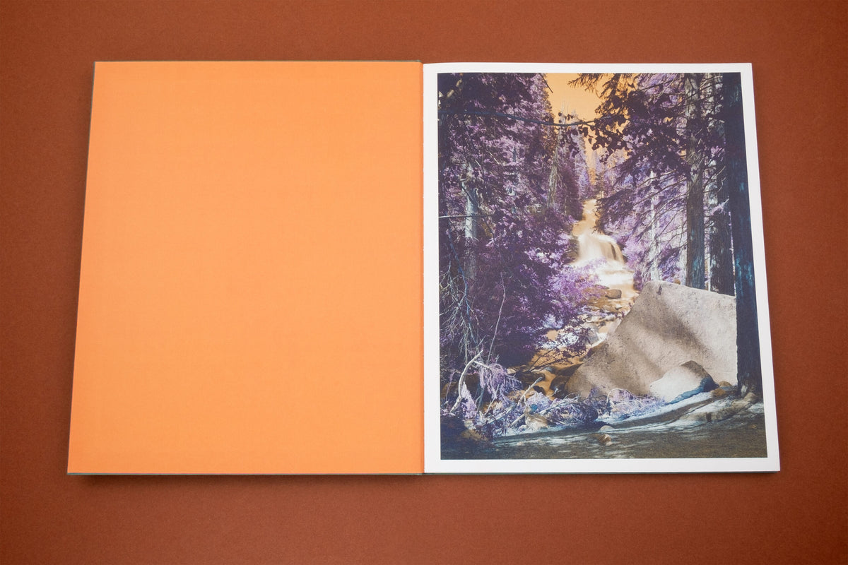 Aaron Rothman: The Sierra