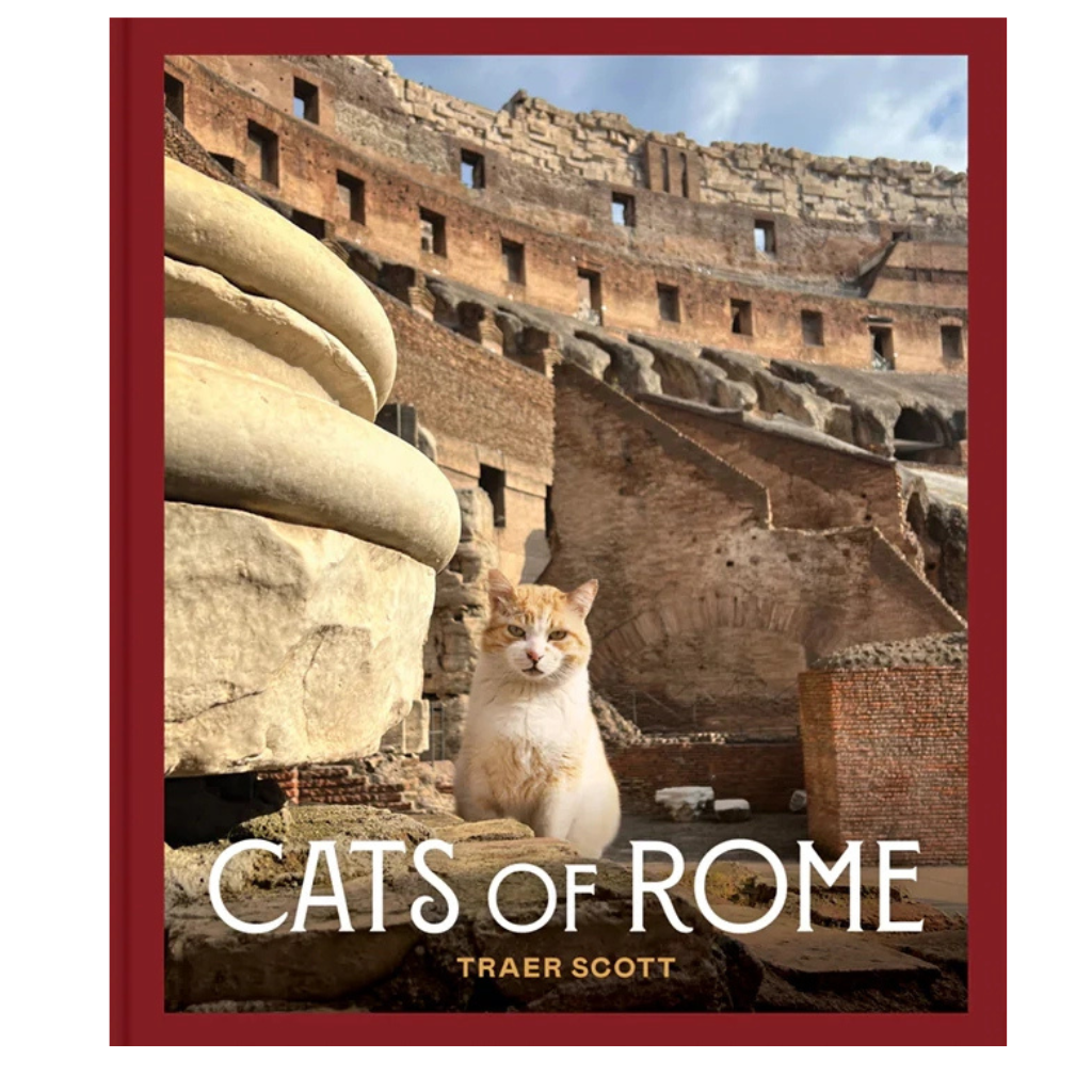 Cats of Rome