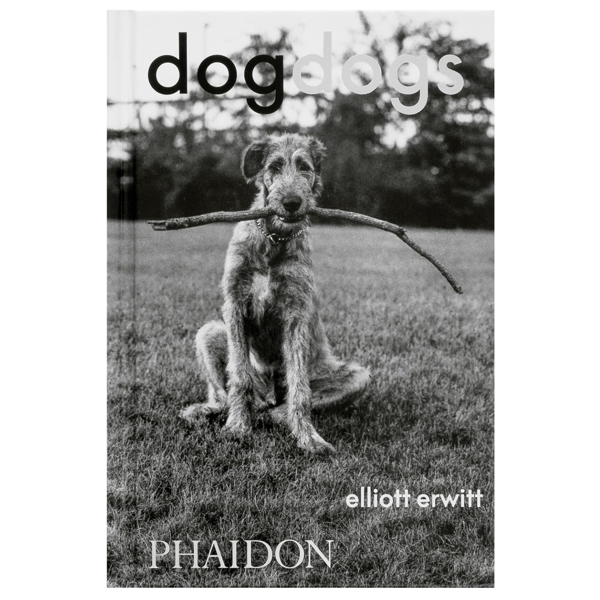 Los perros de Elliott Erwitt