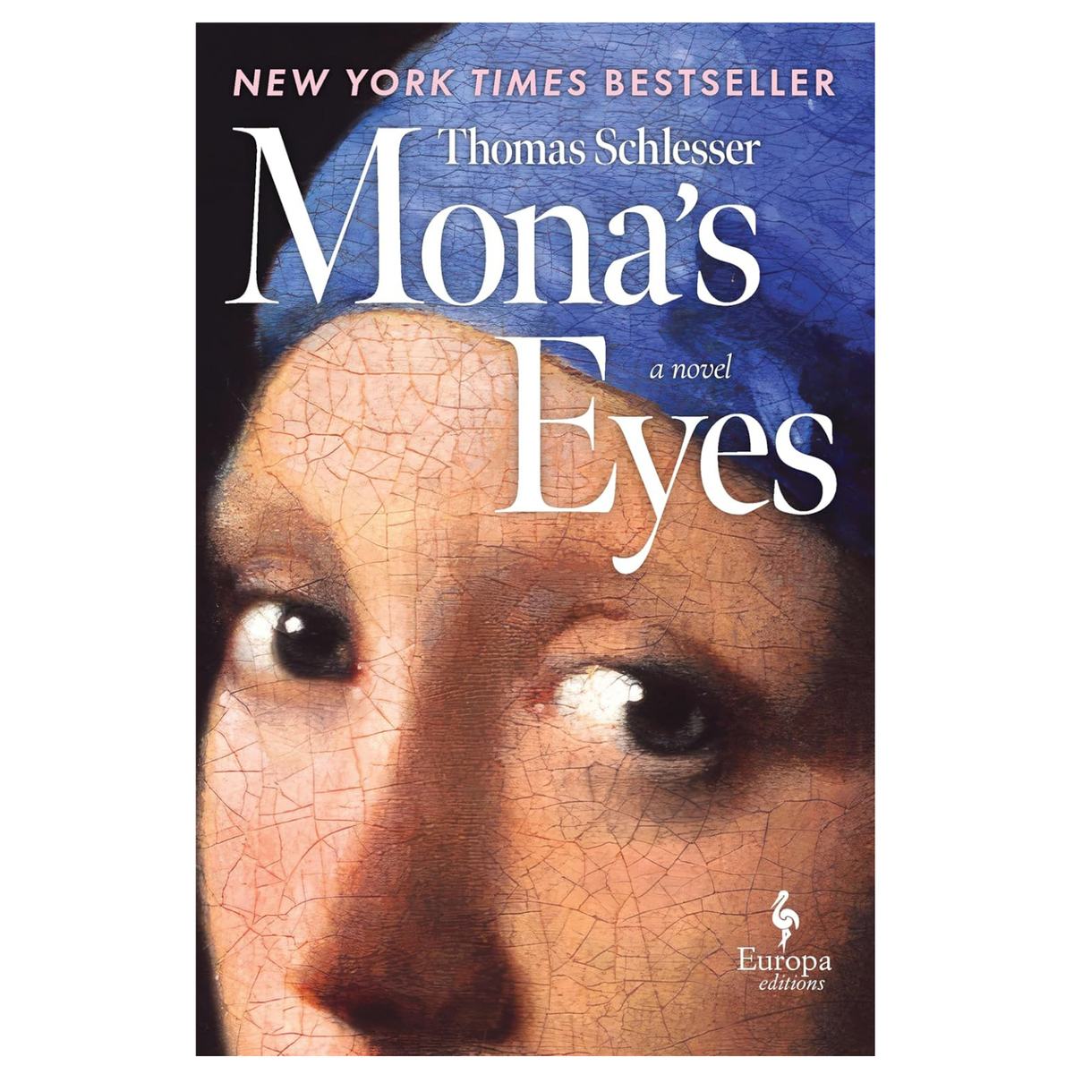 Mona's Eyes: A Novel