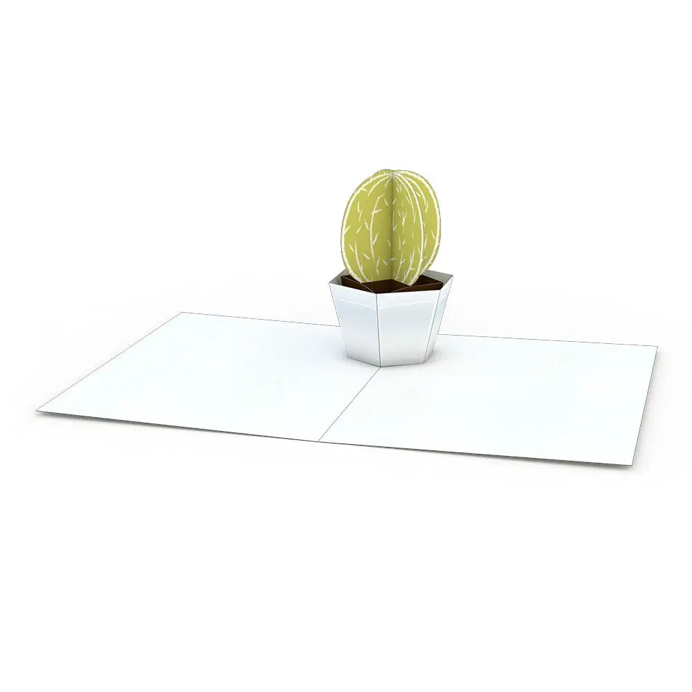 Succulent Pop-up Notecards 4-Pack
