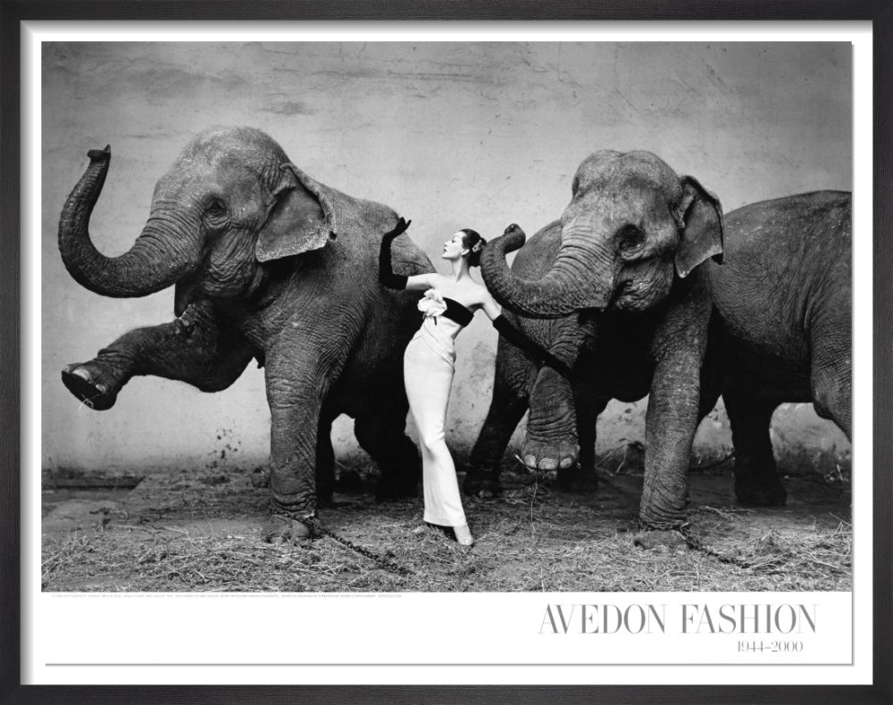 Avedon Fashion Poster