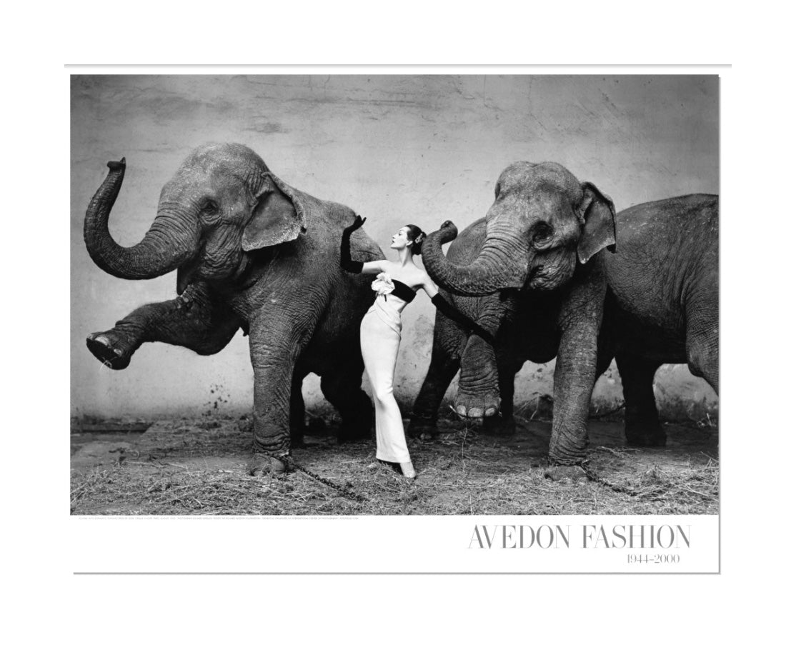 Avedon Fashion Poster