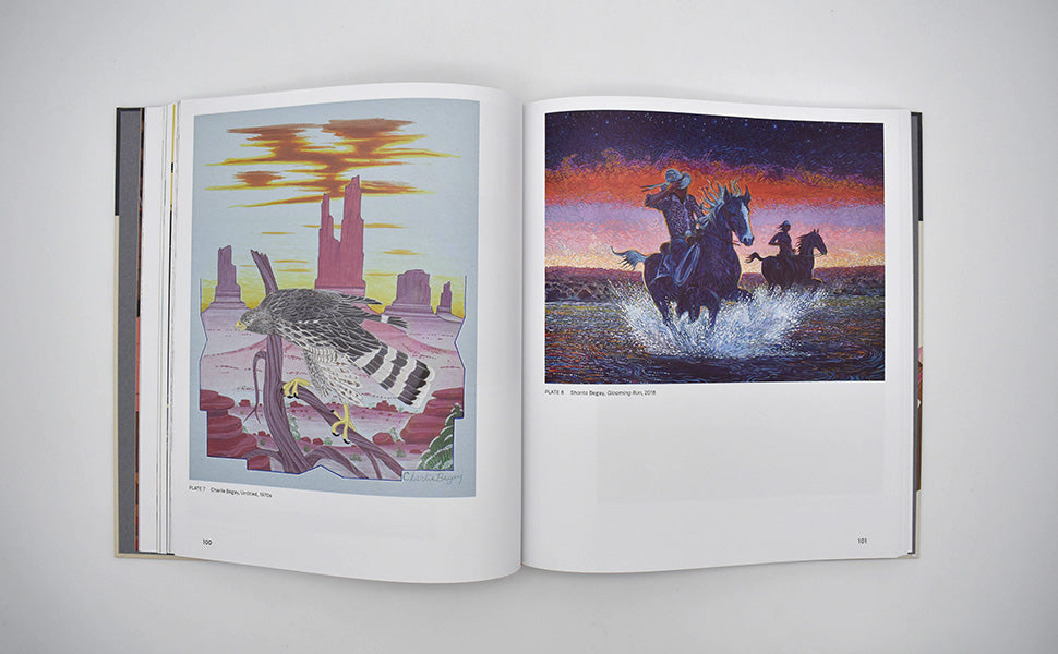 Native Studio Art Since the 1920s: The Healey Collection