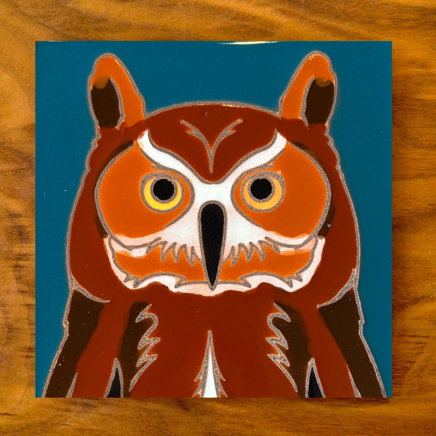 Owl Hand Glazed Coaster