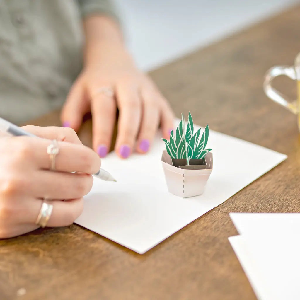 Succulent Pop-up Notecards 4-Pack