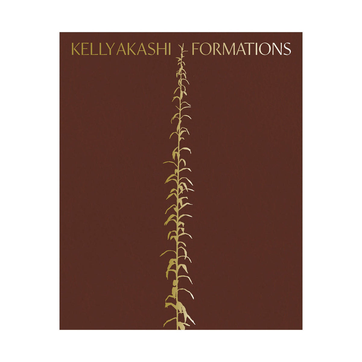 Kelly Akashi: Formations