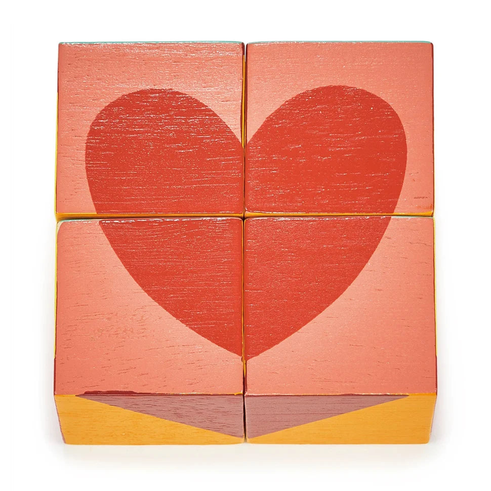 Wooden Color Blocks