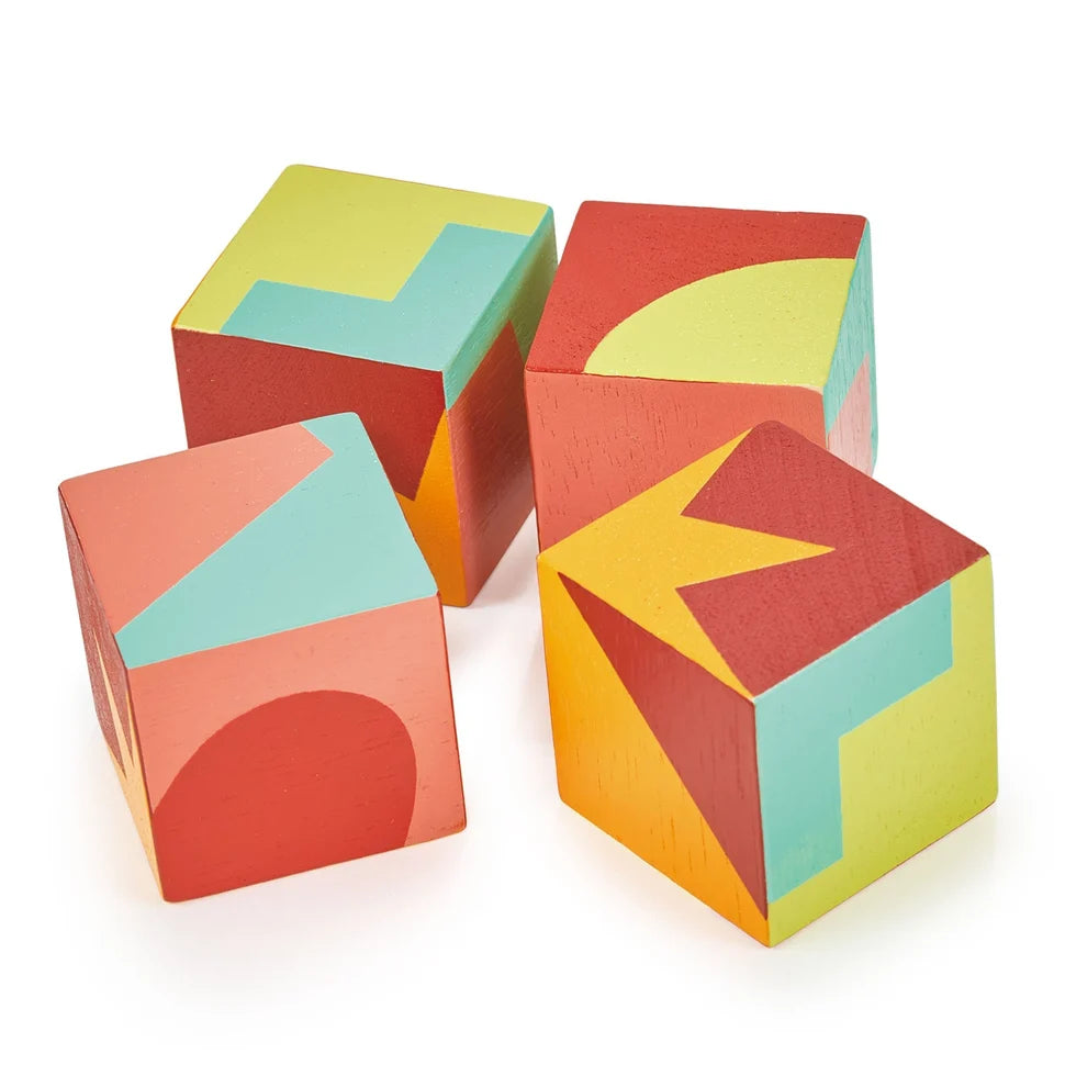 Wooden Color Blocks