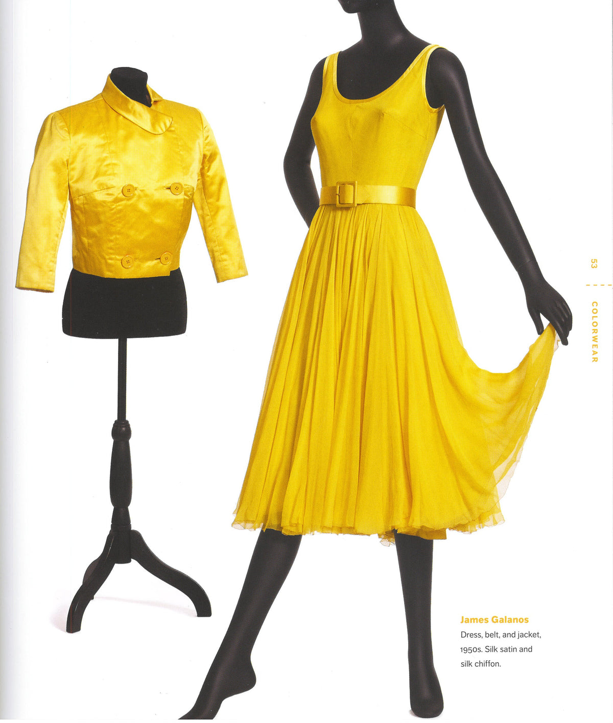 Colorwear: A Kaleidoscope of Fashion
