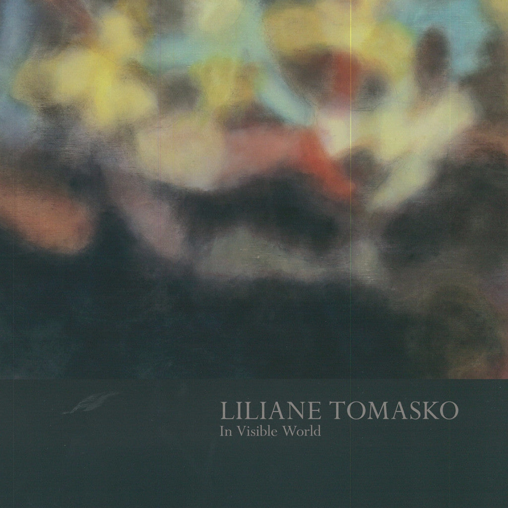 Liliane Tomasko: In Visible World