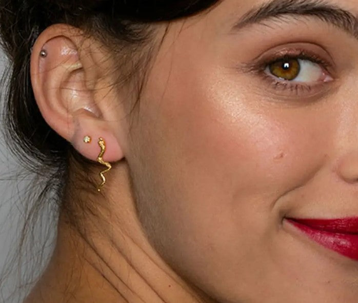 Boucles d'oreilles à tige serpent