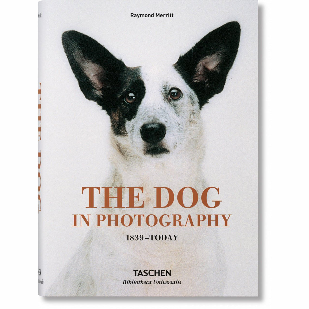 Le chien en photographie : 1839 - aujourd’hui