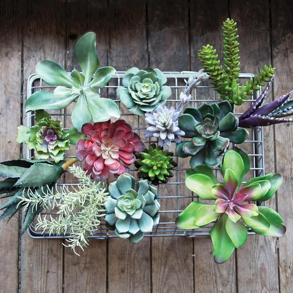 Faux Succulents